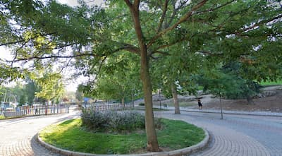 Parque Azorín
